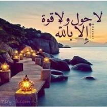 محمد ماهر