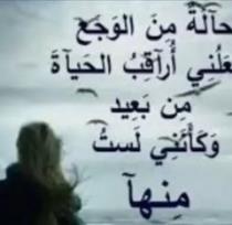 احمد محمد علي البيشي