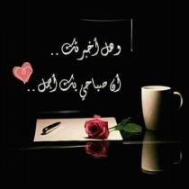 zakaria elhaddad
