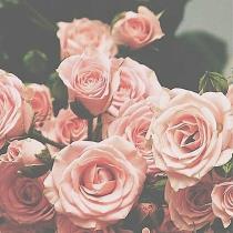 عبير