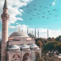 Farah AlTurk
