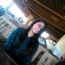 Toqa Sayed Galal