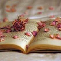 Salam Fleur